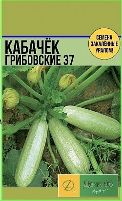 Кабачок Грибовские 37. 25₽