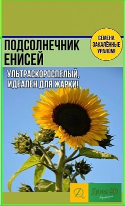 Подсолнечник Енисей, 10г. 30₽