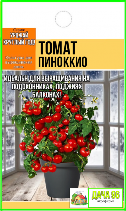 Томат Пиноккио, 12шт. 38₽