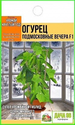 Огурец Подмосковные вечера F1, 10шт. 46₽