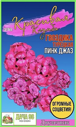 Гвоздика турецкая Пинк джаз, 25шт. 35₽