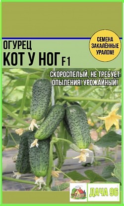 Огурец Кот у ног F1, 6шт. 54₽