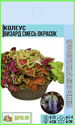 Колеус Визард смесь окрасок, 12шт. 42₽