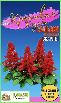 Сальвия Скарлет, 0,1г. 35₽